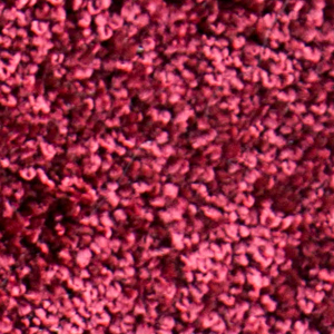 Kratzbaum Teppich rot