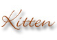 Kitten Kratzbaum